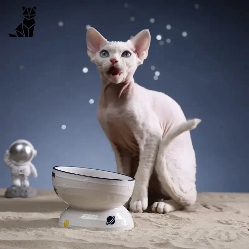 Chat se reposant sur une toilette avec le bol Optimal Food Comfort Bowl for Cats à proximité