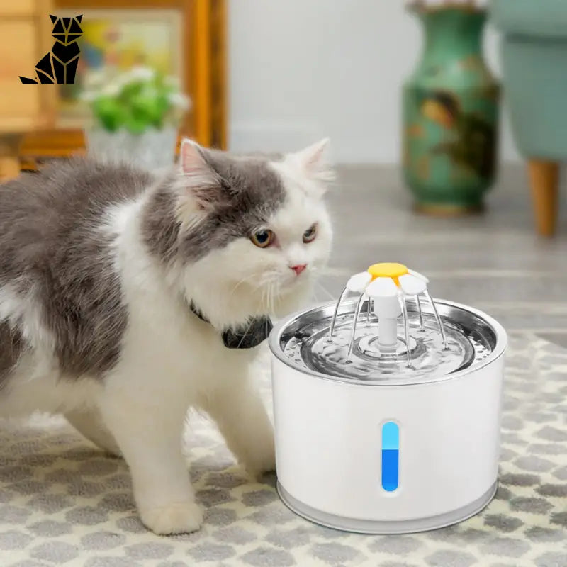 Chat heureux buvant à une fontaine d’eau en acier inoxydable pour chats