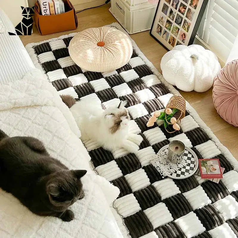 Chat se prélassant sur un lit avec la housse de canapé à carreaux crème, qui met en valeur le style et la protection des animaux de compagnie