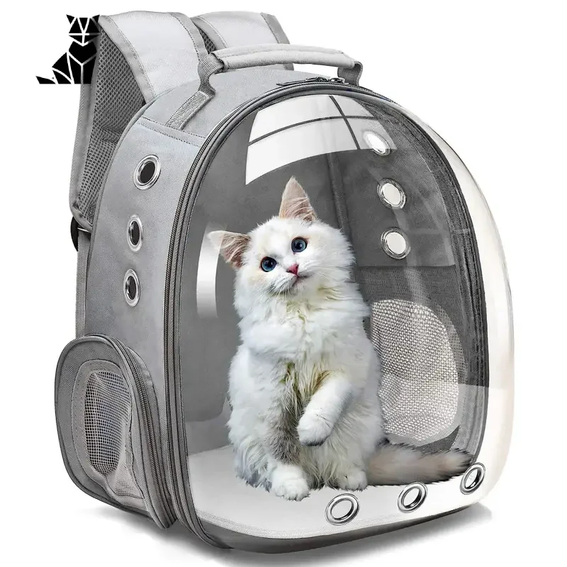 Cat in Astronaut Bubble Bag with Panoramic View, Reinforced Security Backpack Sac Vue
